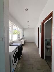 Branksome Road (D15), Detached #612193901